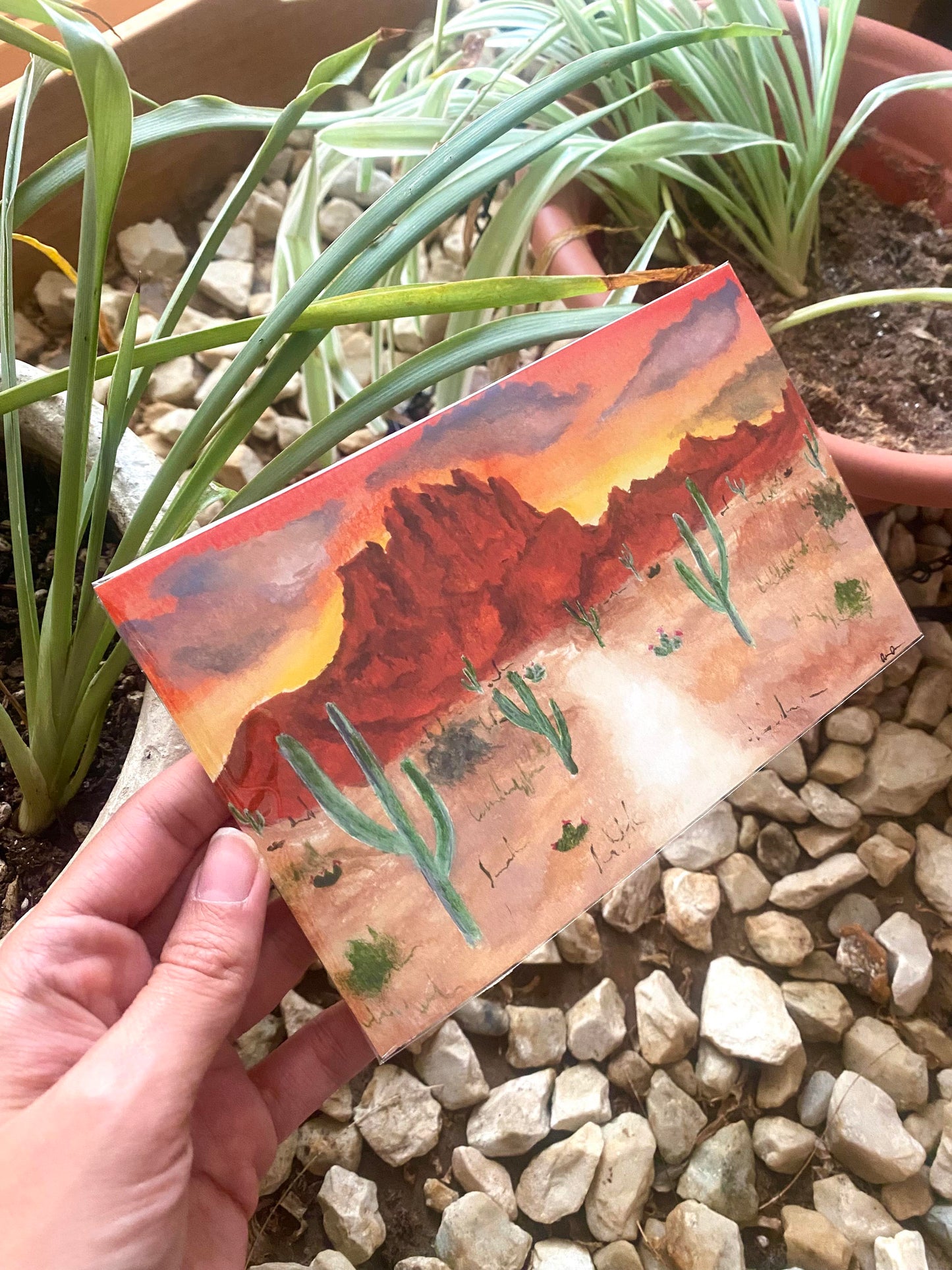 Desert Sunset Print